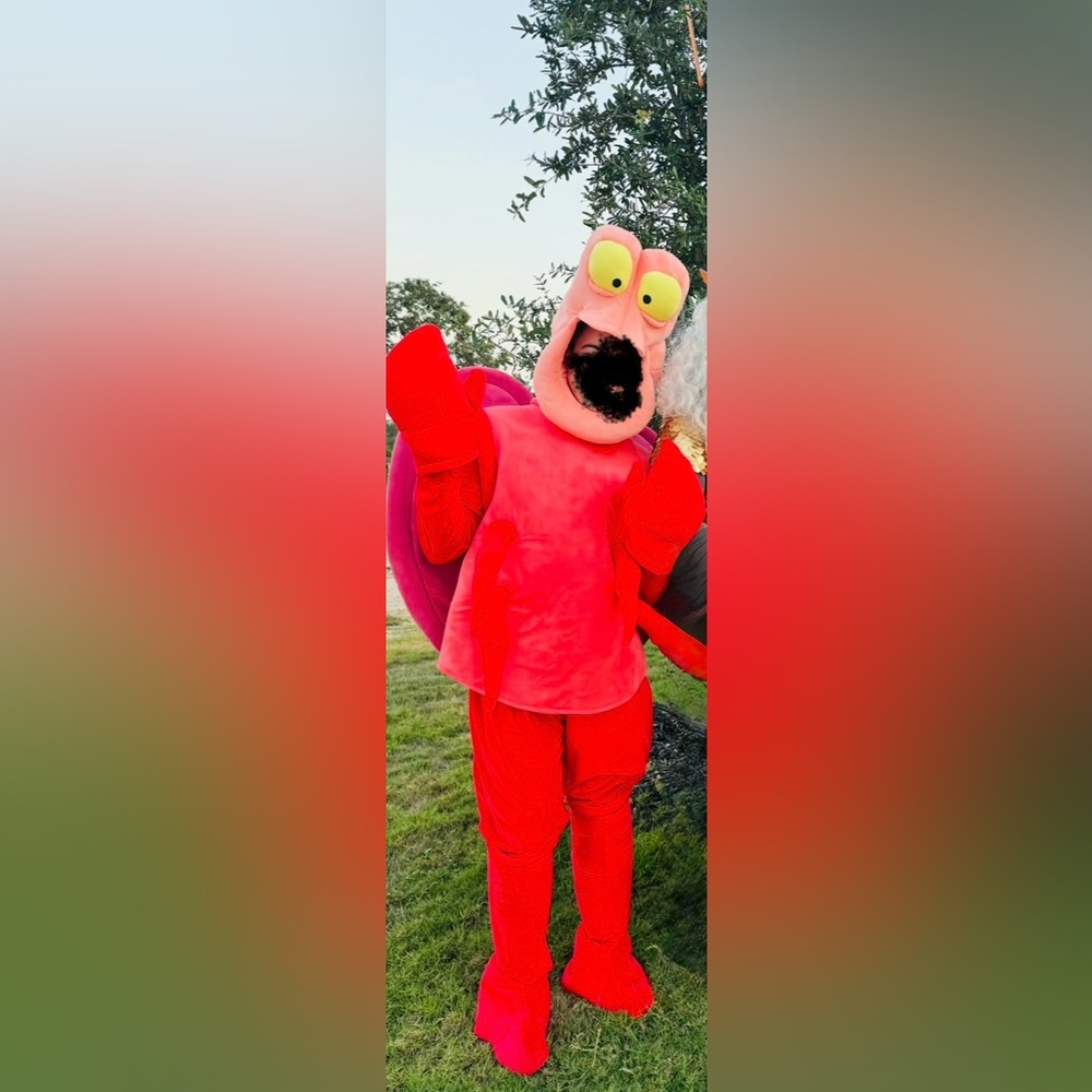 Adult Disney Sebastian Costume